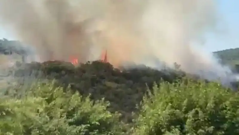 İstanbul'da Yangın Alarmı: Vatandaşlar Acil Tahliye Ediliyor!