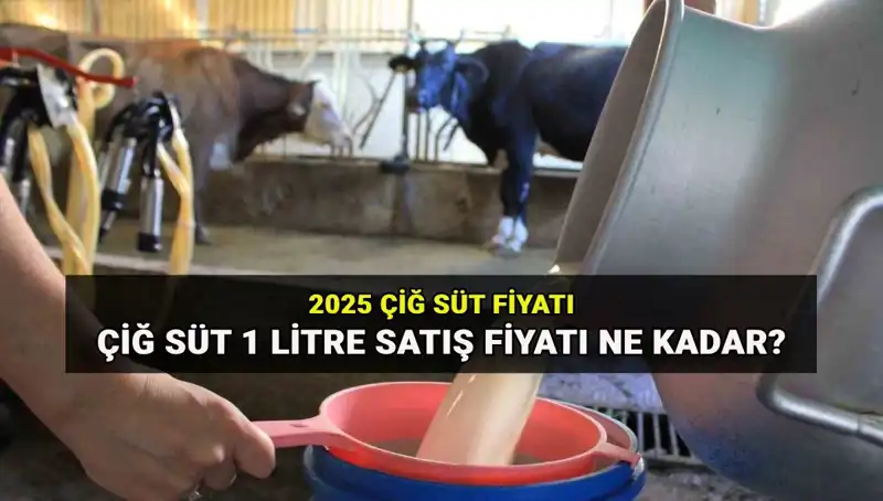 2025'te Çiğ Süt Fiyatları: Ulusal Süt Konseyi'ne Göre Güncel Veriler