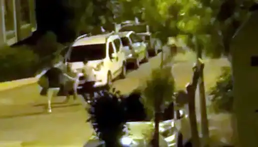 Avcılar'da 3 Kişinin Saldırısına Uğrayan Vatandaş Can Pazarı Yaşadı