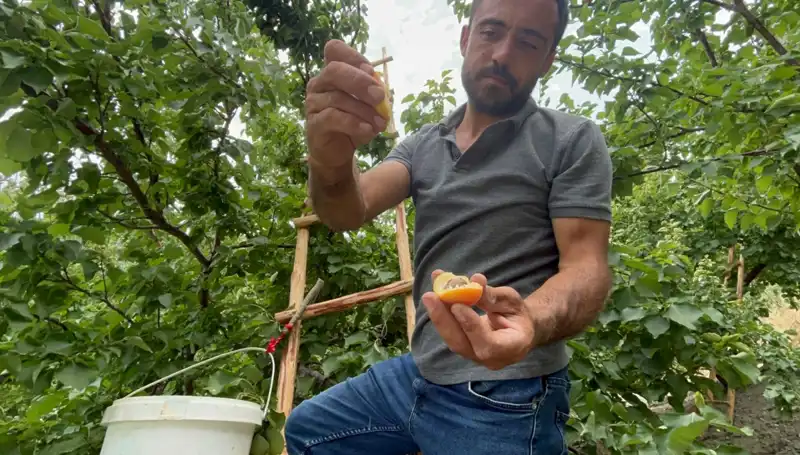 Damakları Şenlendiren Lezzet: 50 TL ile 70 TL Arası Satış Fırsatı