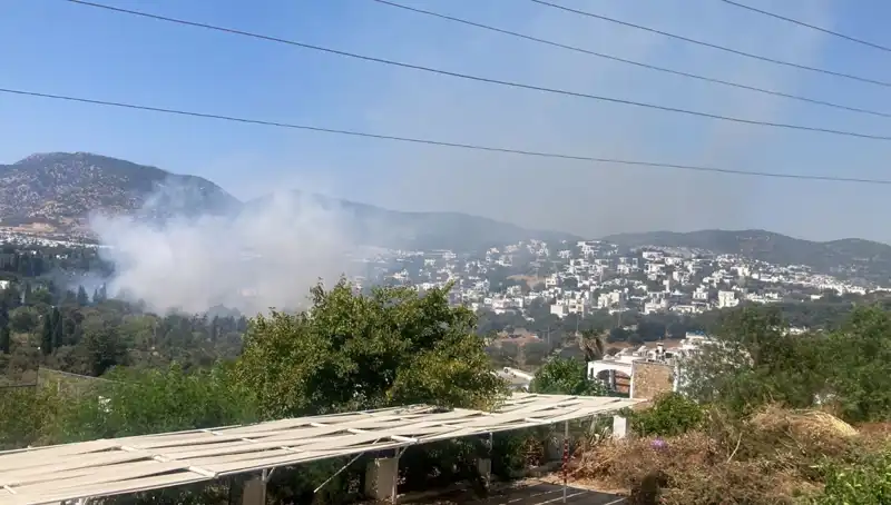 Muğla'daki Orman Yangınları Kontrol Altına Alındı: Doğal Hayat Yeniden Canlanıyor