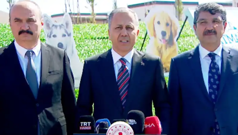Türkiye’de Sokak Köpekleri Reformu İçin 81 İle Müfettiş Gönderildi
