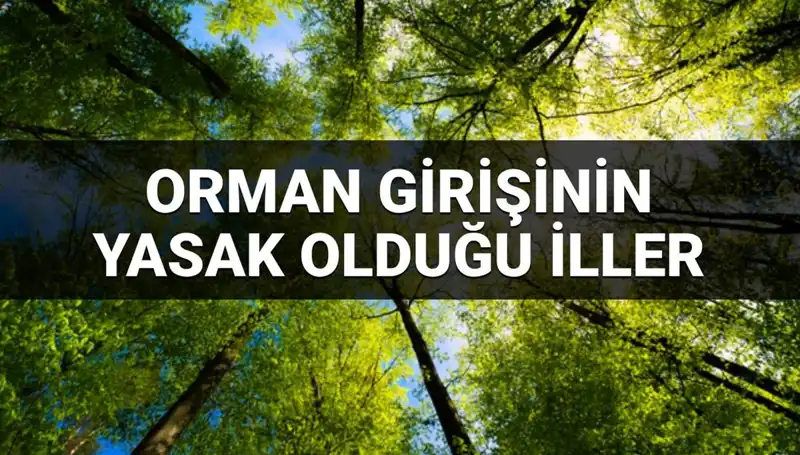 2025'te Ormana Girişi Yasaklanan İllerde Neler Oluyor?