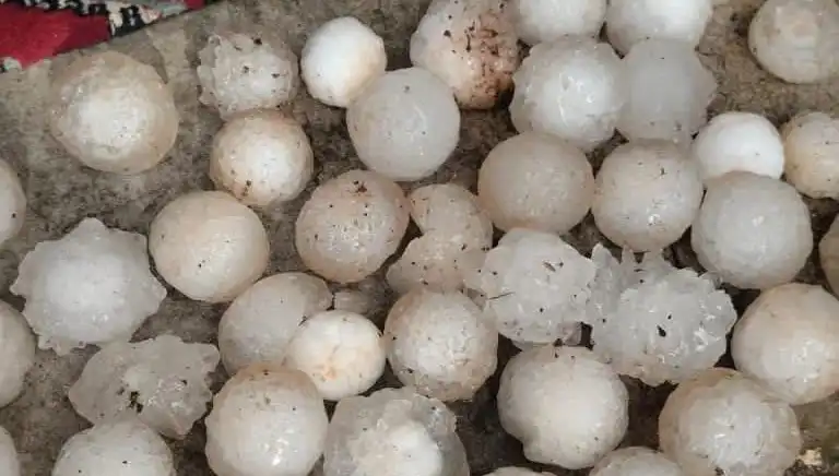 Şanlıurfa'da Kar Topu Büyüklüğünde Dolu Yağışı Etkisi Altında Kaldı