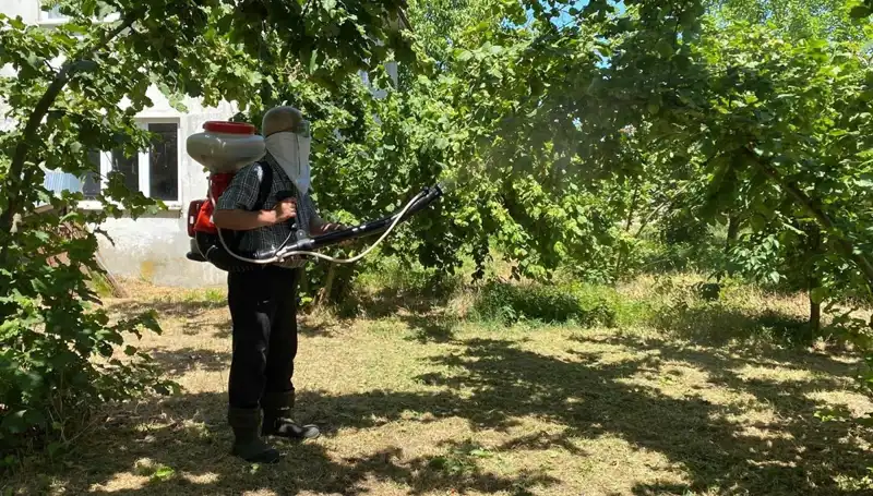 Çiftçilerin Yeni Umudu: Kükürt ve Samuray Arısı Mücadele Aracı mı?
