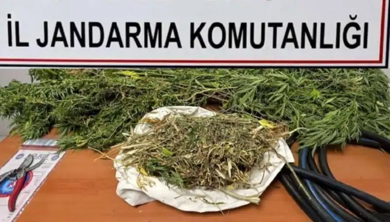 Niğde'de Büyük Uyuşturucu Operasyonu: Ele Geçirilen Miktar Şaşkına Çevirdi