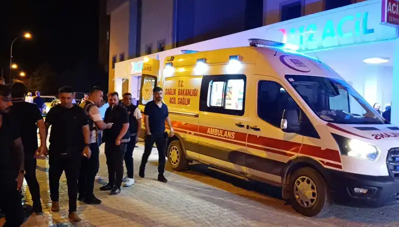 Kardeşini Koruma Çabası Talihsiz Bir Olayla Sonuçlandı
