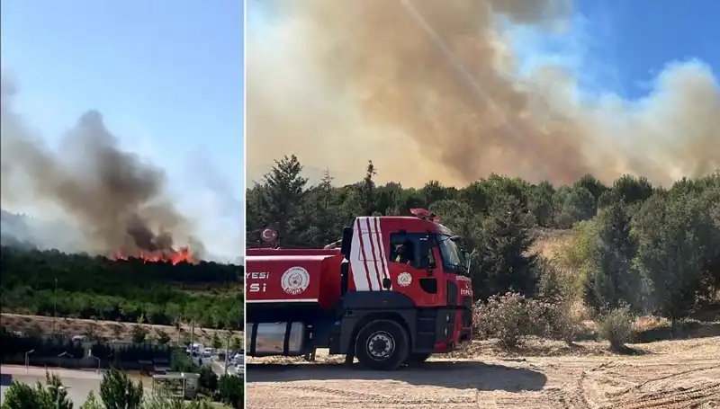 Gebze'de Kontrol Altına Alınamayan Orman Yangını Korkuttu