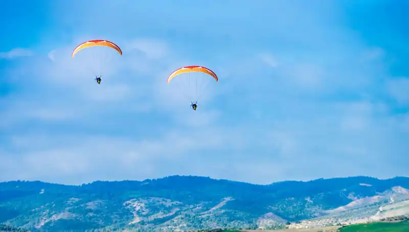 ABD'de Polonya Askerlerinin Paraşüt Eğitimi Üzerine Trajik Olay