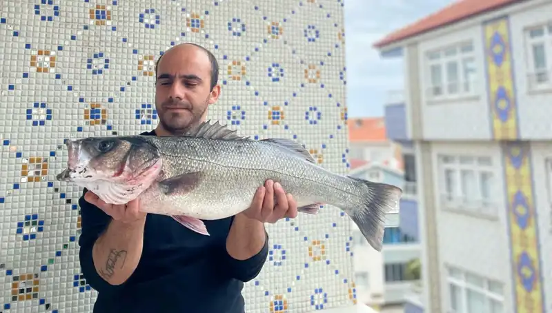 Dev Levrek Avında Şaşırtan Rekor: 7.5 Kilogramlık Balık Yakalandı!
