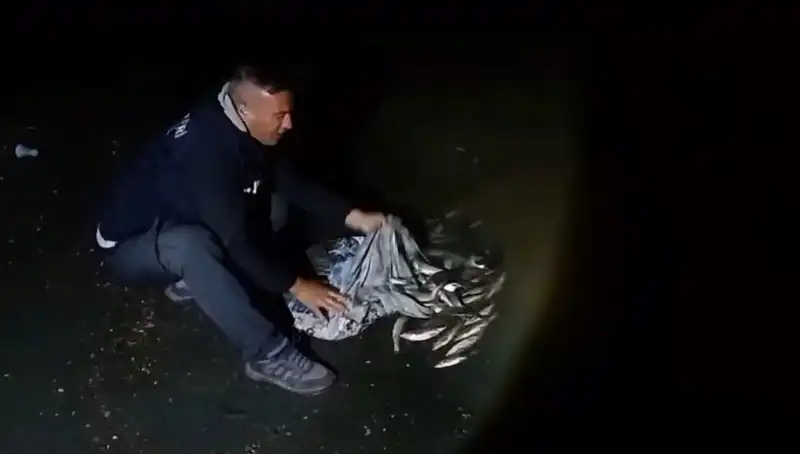 İnci Kefallerinin Avı: 1 Ton Balık Yakalandı, Balıkçıların Yüzü Güldü