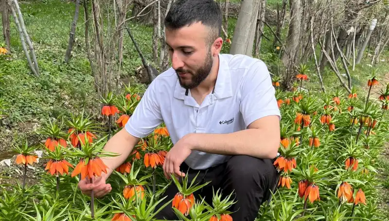 Ağlayan Gelin: 20 Günlük Ömrü ve Yüz Binlerce Liralık Cezasıyla Dikkat Çekiyor