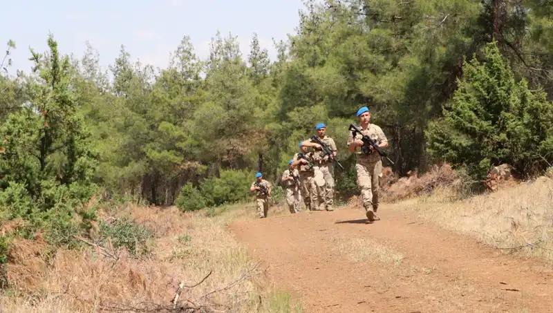 Kilis'te Orman Yangınlarıyla Mücadele: Denetim ve Önlemler Artıyor