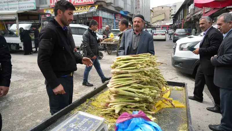 Dağlık Alanların Şifası: Şekerin Faydaları ve Sağlık Sırları