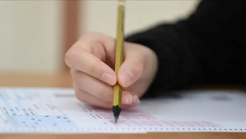 LGS Sınavında Eleyici Sorular: Öğrencilerin Performansı Üzerine Bir Değerlendirme