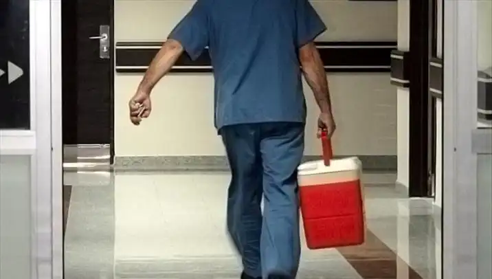 Organ Bağışında Devrim: e-Devlet ve e-Nabız ile Hızla İşlem Yapın