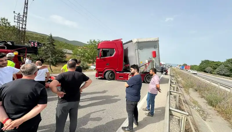Seyir Halindeyken Arı Soktu: Trafik Kilitlendi, Gözler Şaşkınlıkla Doldurdu