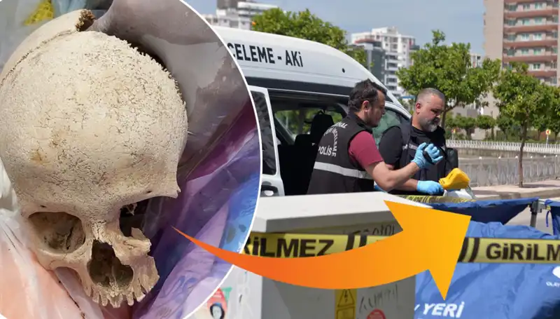 Sitenin Çöpünden Çıkan Kafatası: Doktor Gözaltında, Sır Perdesi Aralanıyor!