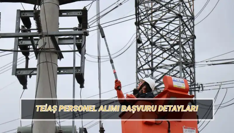 TEİAŞ Personel Alımı Başvuruları Başladı: İşçi Alımında Göz Önünde Bulundurulacak Şartlar