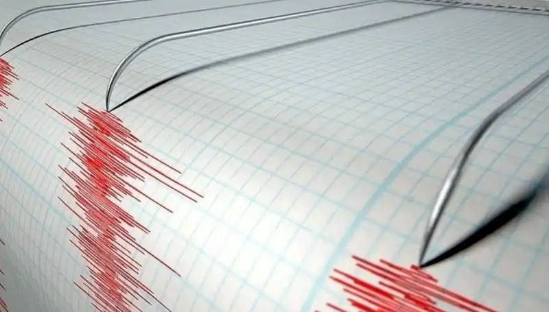 Osmaniye'de Gece Yarısı 3.2 Büyüklüğünde Deprem: Vatandaşların Tepkisi