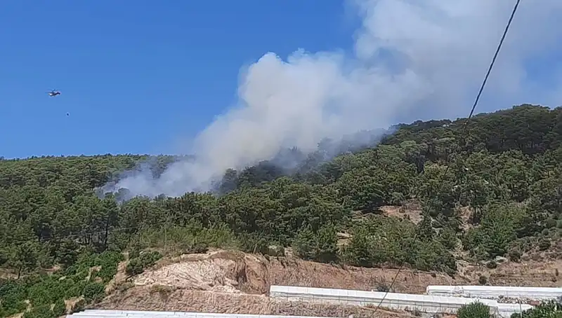 Kumluca’da Ortaya Çıkan Orman Yangını, Ekosistemi Tehdit Ediyor!