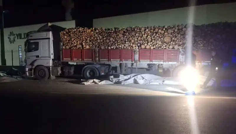 TIR Sürücüsü Brandayı Toplarken Kaza Geçirdi: Otomobil Çarpınca Neler Oldu?