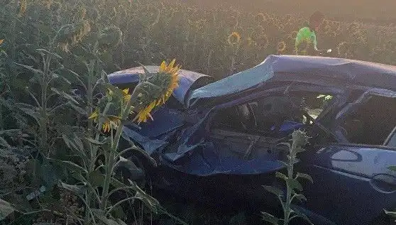 Devrilen Otomobil Ayçiçeği Tarlasını Bastı: Yaralılar ve Olayın Ayrıntıları