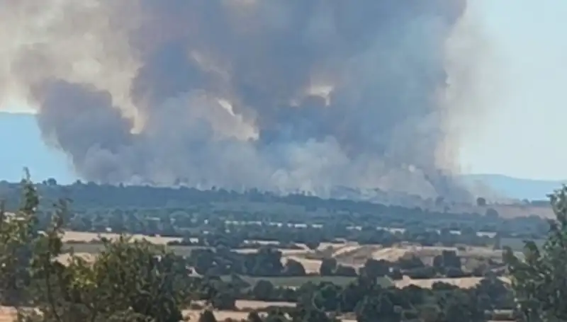 Komşu Orman Yangını, Edirne'yi Duman Altında Bıraktı: Son Durum Nedir?