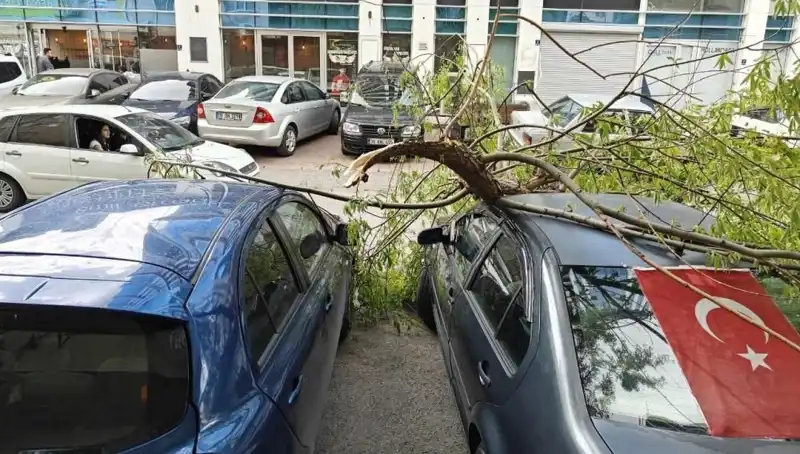 Kayseri'de Fırtına Dalları Kırdı, Kurtarma Çalışmaları Başlatıldı