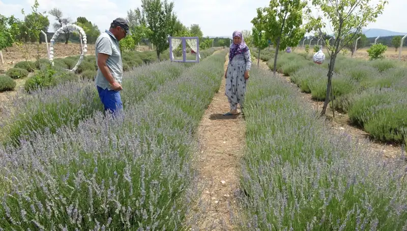 Hobi ile Başladı, Şimdi Geçim Kaynağına Dönüştü: Türk Girişimcilerin Başarı Hikayesi