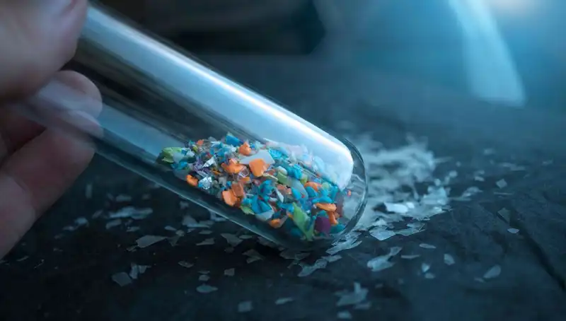 Mikroplastikler İnsan Beynine Ulaşıyor: Bilinmeyen Etkileri Açığa Çıkıyor
