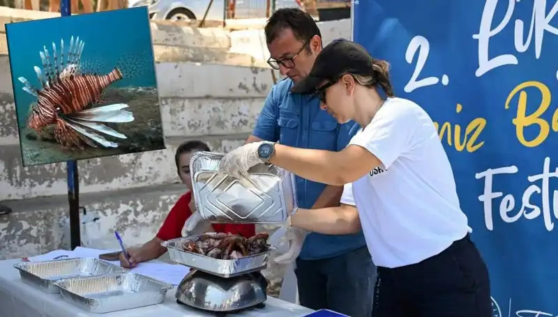Antalya'da İstilacı Aslan Balığı Avlama Yarışması: Denizlerimizi Koruma Heyecanı