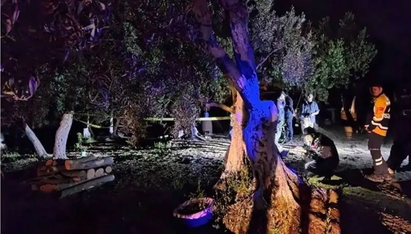 Çiftlikteki Baltalı Vahşete Şok Üstüne Şok: Bir Eylemci Tutuklandı!