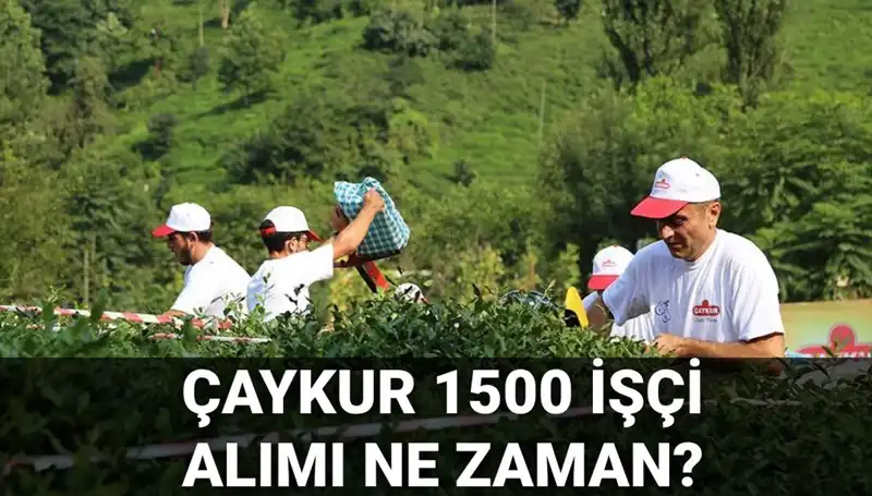 ÇAYKUR İşçi Alımı Kura Tarihleri Açıklandı: Beklenen Gündem