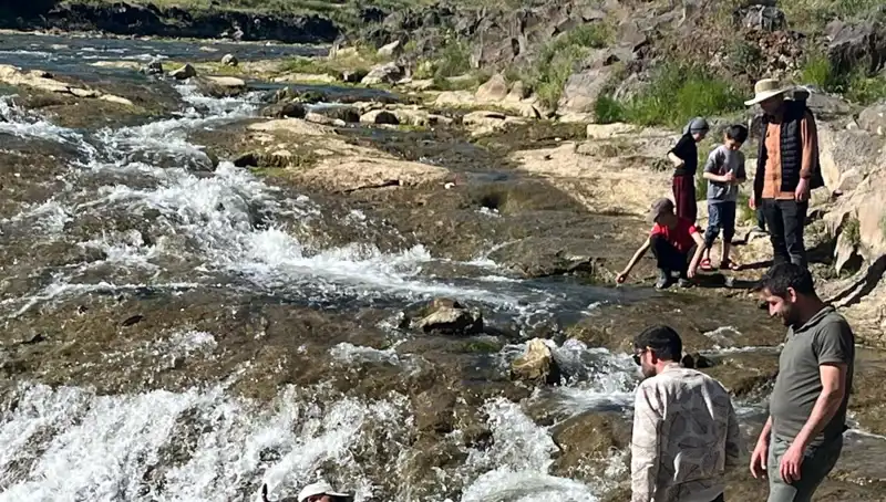 İnci Kefalinin Muhteşem Göçü: Doğa Harikası Turistlerin Akınına Sebep Oldu
