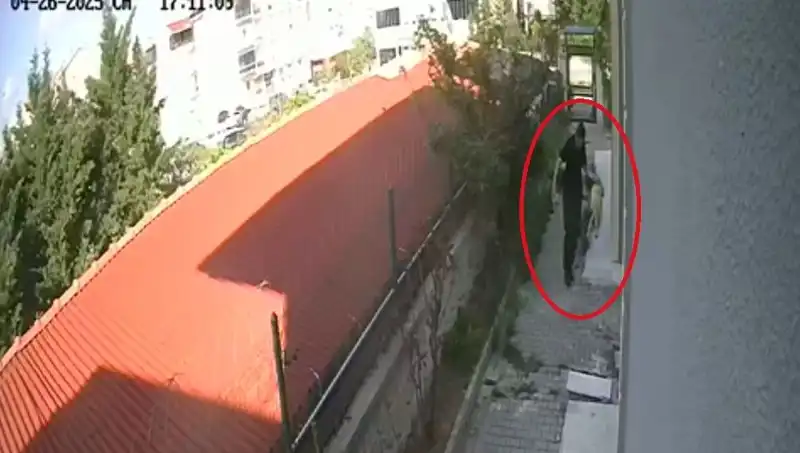 Veteriner Doktorun Şok Edici Suçu: Sahiplendiği Köpekleri Öldürdü!