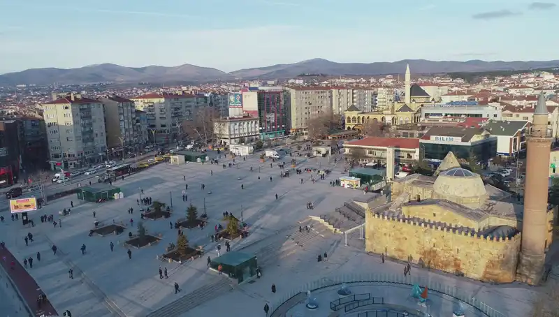 Kırşehir’de Keşfedilen Yeni Böcek Türü Bilim Dünyasını Şaşırttı
