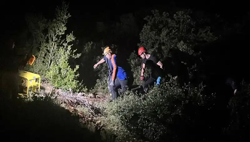Define Avcılığı Hayatlarına Mal Oldu: Detaylar Ortaya Çıktı