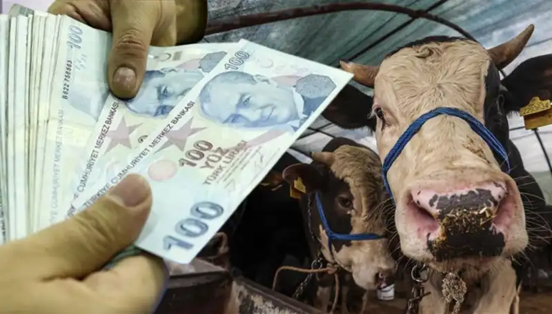 Kurban Bayramı Öncesi Maaşlar Ne Zaman Ödenecek? Emeklilere Müjde!