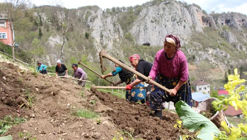 Zorlu Mesai Başladı: Sırtlarında Sepetler, Ellerinde Kazmalarla Yeni Bir Dönem