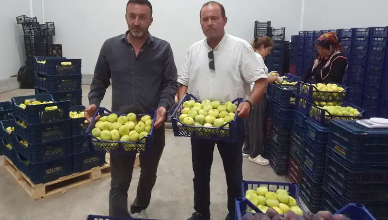 Mersinli Çiftçilerin Yüzünü Güldüren İhraç Fırsatı: 20 TL'den Başlayan Fiyatlar