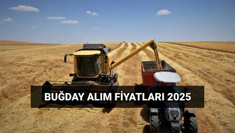 Hububat Alım Ücretleri Ne Zaman Yatacak? 2025 Fiyatları Açıklandı