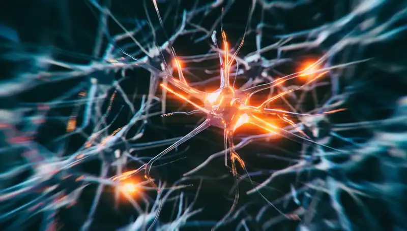 Alzheimer Vakalarının Artışı: Nedenleri ve Etkileri Üzerine Derinlemesine Bir İnceleme