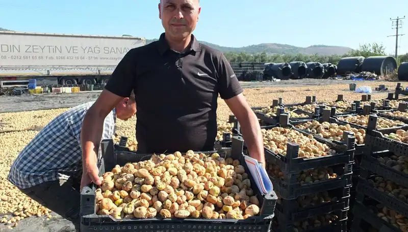 Balıkesir'den Dünyaya Açılan Kapı: Çin ve Rusya'ya Balık İhracatı