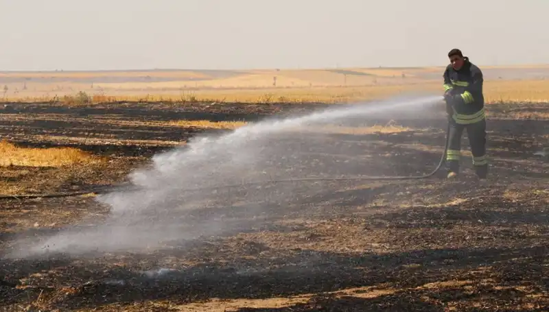 Eskişehir'de Feci Yangın: Trafo Arızası Tarım Arazisini Küle Çeviriyor
