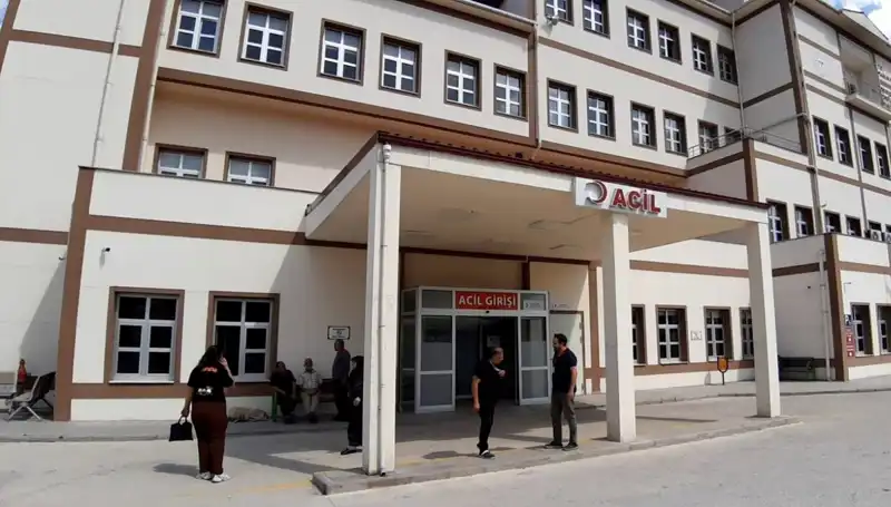 Bolu'da Ayı Avı Kararı: Yetkililerden Tartışmalı Açıklama